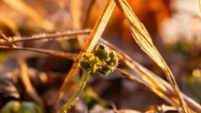 Zachód słońca w zatoce Skonał, nad jeziorem Tałty, marzec 2024 r. - zdjęcie 14