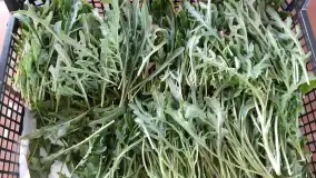 Lokalne produkty z Mazurskiego Gospodarstwa Ekologicznego Barbary Niedziejko. - zdjęcie 4