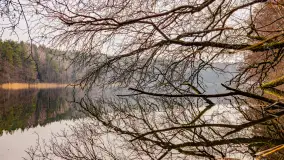 Mazurska przyroda w połowie marca 2024 r. - zdjęcie 11