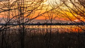 Zachód słońca nad jeziorem Tajty, marzec 2024 r. - zdjęcie 14