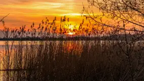 Zachód słońca nad jeziorem Tajty, marzec 2024 r. - zdjęcie 19