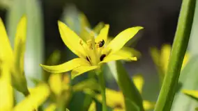 Mamy dowody na rozkwit wiosny na Mazurach, końcówka marca 2024 r. - zdjęcie 29