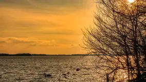 Jezioro Dargin przed zachodem słońca, marzec 2024 r. - zdjęcie 48