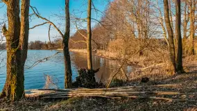 Jezioro Dargin przed zachodem słońca, marzec 2024 r. - zdjęcie 26