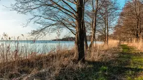 Jezioro Dargin przed zachodem słońca, marzec 2024 r. - zdjęcie 42