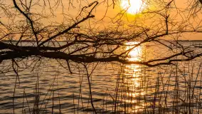 Jezioro Dargin przed zachodem słońca, marzec 2024 r. - zdjęcie 54