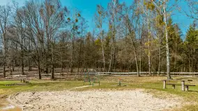 Bełdany Tarpan II, marzec 2024 r. - zdjęcie 32