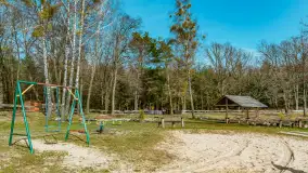 Bełdany Tarpan II, marzec 2024 r. - zdjęcie 5