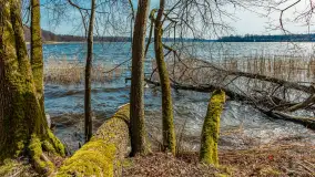 Bełdany Tarpan II, marzec 2024 r. - zdjęcie 21