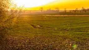 Wiosenne kadry o zachodzie słońca, koniec marca 2024 r. - zdjęcie 11