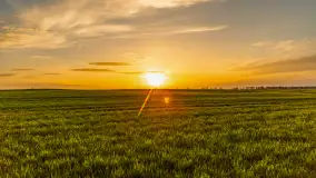 Wiosenne kadry o zachodzie słońca, koniec marca 2024 r. - zdjęcie 6