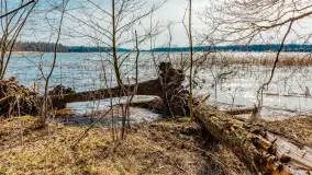 Wiosna nad jeziorem Bełdany, Binduga Tarpan I - zdjęcie 18