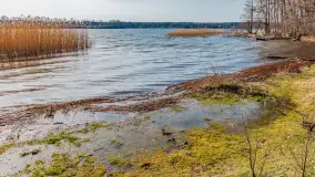 Wiosna nad jeziorem Bełdany, Binduga Tarpan I - zdjęcie 23