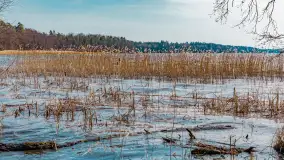 Wiosna nad jeziorem Bełdany, Binduga Tarpan I - zdjęcie 19