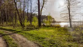 Wiosna i zachód słońca na półwyspie Kula, kwiecień 2024 r. - zdjęcie 33