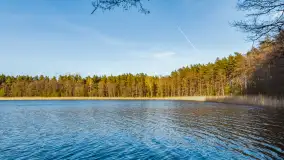 Wiosna i zachód słońca na półwyspie Kula, kwiecień 2024 r. - zdjęcie 7