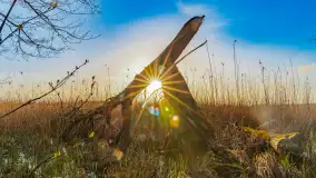 Wiosna i zachód słońca na półwyspie Kula, kwiecień 2024 r. - zdjęcie 18