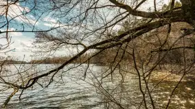 Wiosna i polana Wydra przy jeziorze Tyrkło, marzec 2024 r. - zdjęcie 26