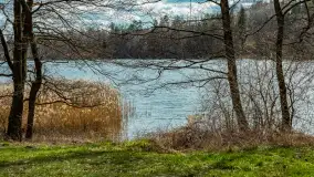 Wiosna i polana Wydra przy jeziorze Tyrkło, marzec 2024 r. - zdjęcie 22