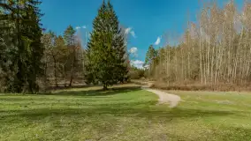 Wiosna i polana Wydra przy jeziorze Tyrkło, marzec 2024 r. - zdjęcie 7