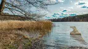 Wiosna i polana Wydra przy jeziorze Tyrkło, marzec 2024 r. - zdjęcie 5