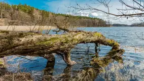 Wiosna i polana Wydra przy jeziorze Tyrkło, marzec 2024 r. - zdjęcie 17