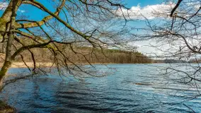 Wiosna i polana Wydra przy jeziorze Tyrkło, marzec 2024 r. - zdjęcie 21