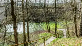 Śluza Leśniewo Górne na wiosennych ujęciach, marzec 2024 r. - zdjęcie 25