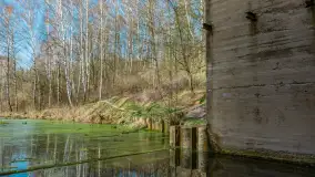 Śluza Leśniewo Górne na wiosennych ujęciach, marzec 2024 r. - zdjęcie 49