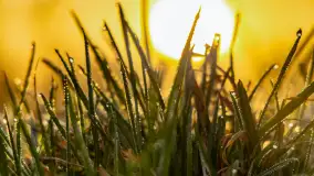 Mazurskie pajęczyny o wschodzie słońca nad jeziorem Dobskim - zdjęcie 38