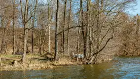 Jezioro Ublik Wielki i połączenie z Ublikiem Małym, marzec 2024 r. - zdjęcie 8