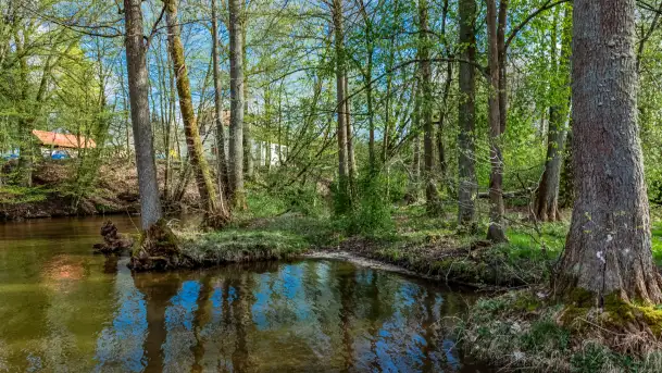 Zabytkowy młyn wodny przy Krutyni, kwiecień 2024 r. - zdjęcie 5