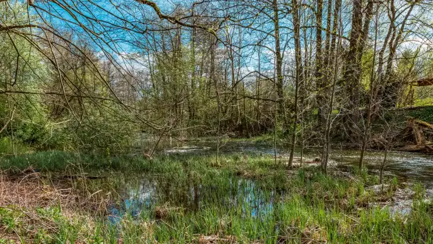 Zabytkowy młyn wodny przy Krutyni, kwiecień 2024 r. - zdjęcie 9