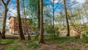 Zabytkowy młyn wodny przy Krutyni, kwiecień 2024 r. - zdjęcie 16