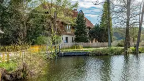 Zabytkowy młyn wodny przy Krutyni, kwiecień 2024 r. - zdjęcie 28