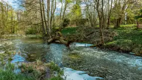 Zabytkowy młyn wodny przy Krutyni, kwiecień 2024 r. - zdjęcie 55