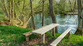 Zabytkowy młyn wodny przy Krutyni, kwiecień 2024 r. - zdjęcie 57