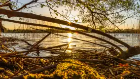 Zachód słońca nad jeziorem Salęt, kwiecień 2024 r. - zdjęcie 1