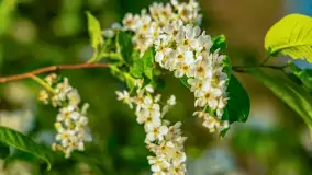 Zachód słońca nad jeziorem Salęt, kwiecień 2024 r. - zdjęcie 4