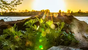 Zachód słońca nad jeziorem Salęt, kwiecień 2024 r. - zdjęcie 10