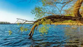 Zachód słońca nad jeziorem Salęt, kwiecień 2024 r. - zdjęcie 2