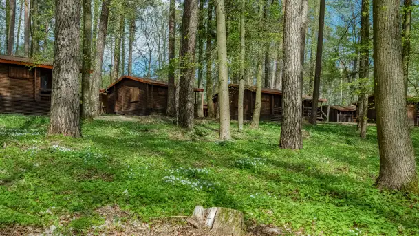 Zdjęcia: Atrakcyjne noclegi w domkach nad jeziorem Nidzkim: Ośrodek Wypoczynkowy Wodnik - zdjęcie 2