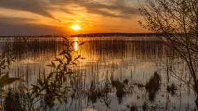 Zachód słońca nad jeziorem Święcajty, kwiecień 2024 r. - zdjęcie 24