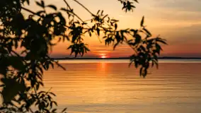 Zachód słońca nad jeziorem Dargin z komarami w planie - zdjęcie 2