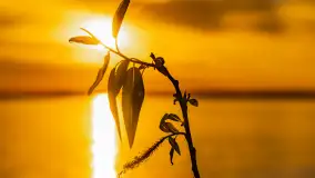 Zachód słońca nad jeziorem Niegocin, kwiecień 2024 r. - zdjęcie 18