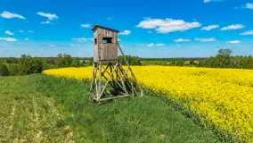 Rzepakowe pola widoczne z lotu ptaka, maj 2024 r. - zdjęcie 8