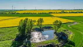 Rzepakowe pola widoczne z lotu ptaka, maj 2024 r. - zdjęcie 20