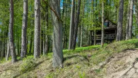 Ośrodek Wypoczynkowy Wodnik w Rucianem Nidzie: Idealne Miejsce na Wakacyjny Wypoczynek na Mazurach - zdjęcie 15