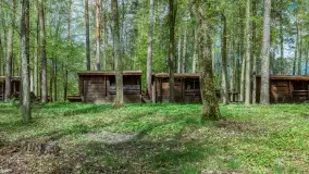 Ośrodek Wypoczynkowy Wodnik w Rucianem Nidzie: Idealne Miejsce na Wakacyjny Wypoczynek na Mazurach - zdjęcie 7