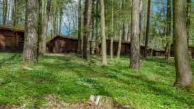 Ośrodek Wypoczynkowy Wodnik w Rucianem Nidzie: Idealne Miejsce na Wakacyjny Wypoczynek na Mazurach - zdjęcie 22